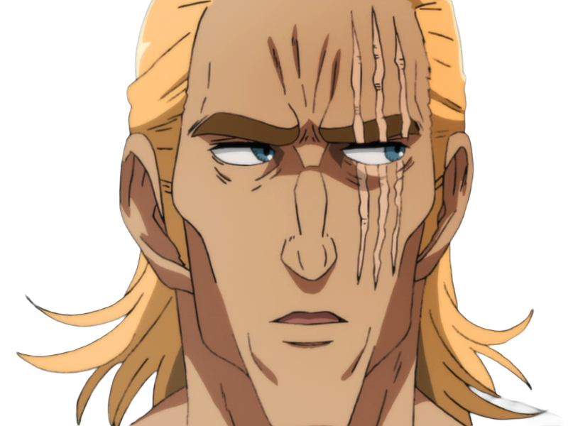 king heros one punch man opm balafre geek otaku cheveuxblonds yeuxbleus manga anime classe s