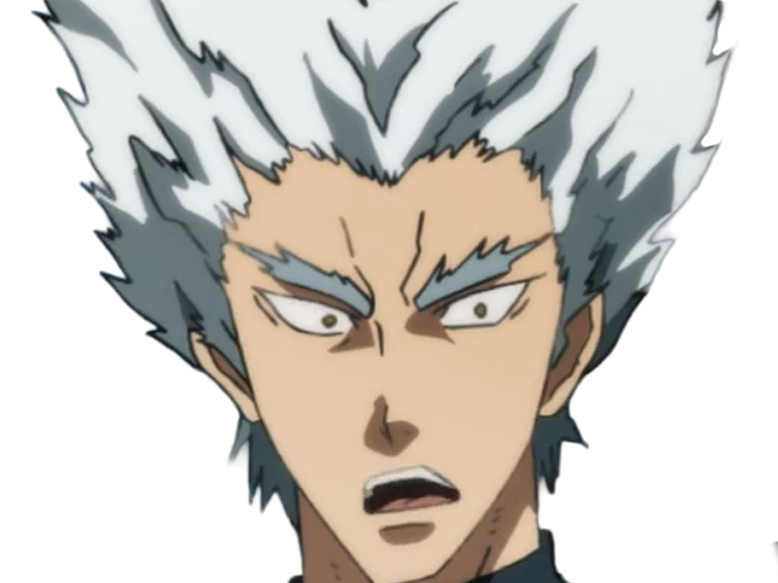 garoh garou garo monstre humain one punch man opm anime manga art martiaux cheveux-blancs yeux-jaunes