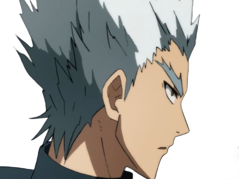 garoh garou garo monstre humain one punch man opm anime manga art martiaux cheveux-blancs yeux-jaunes