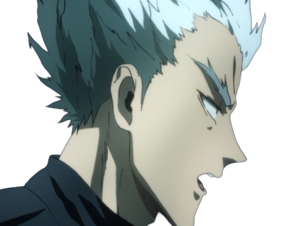 garoh garou garo monstre humain one punch man opm anime manga art martiaux cheveux-blancs yeux-jaunes