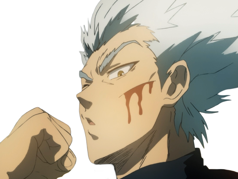 garoh garou garo monstre humain one punch man opm anime manga art martiaux cheveux-blancs yeux-jaunes