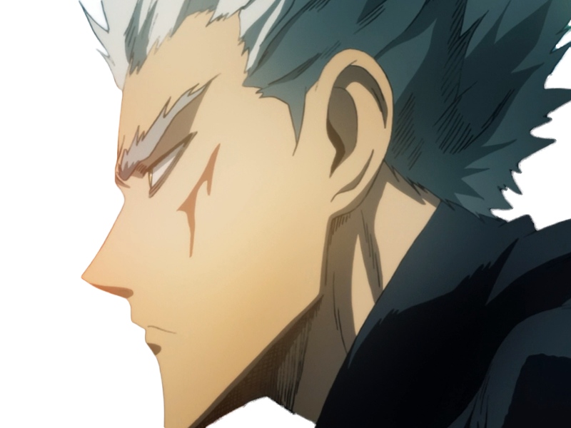 garoh garou garo monstre humain one punch man opm anime manga art martiaux cheveux-blancs yeux-jaunes
