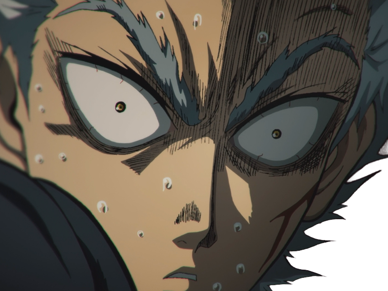 garoh garou garo monstre humain one punch man opm anime manga art martiaux cheveux-blancs yeux-jaunes