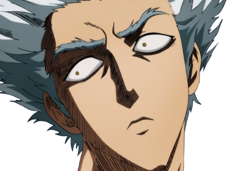 garoh garou garo monstre humain one punch man opm anime manga art martiaux cheveux-blancs yeux-jaunes