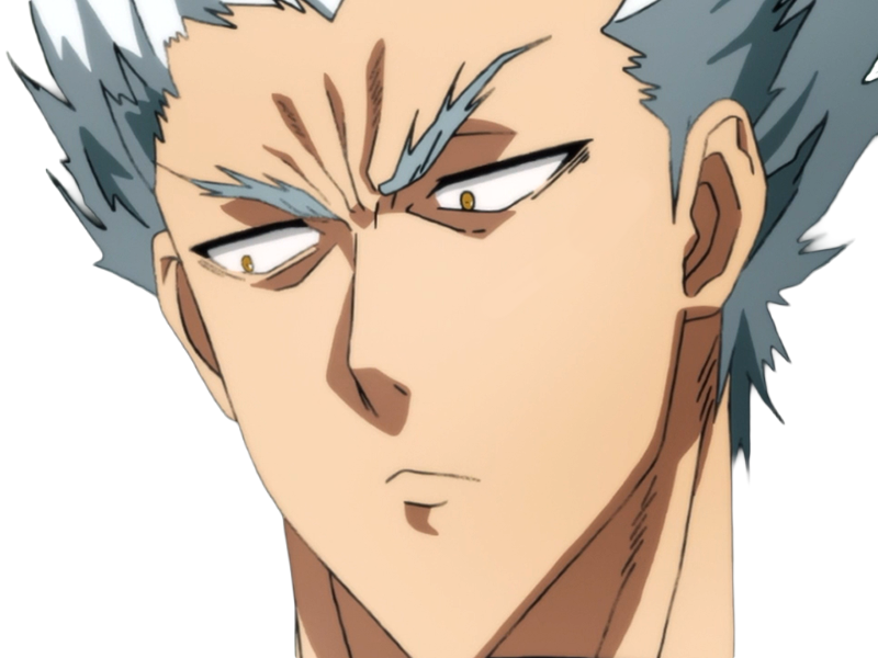 garoh garou garo monstre humain one punch man opm anime manga art martiaux cheveux-blancs yeux-jaunes