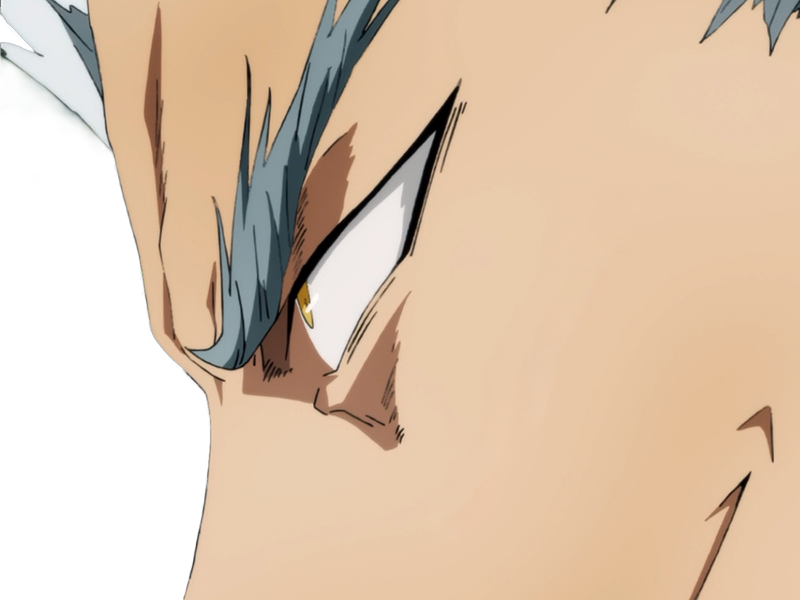 garoh garou garo monstre humain one punch man opm anime manga art martiaux cheveux-blancs yeux-jaunes