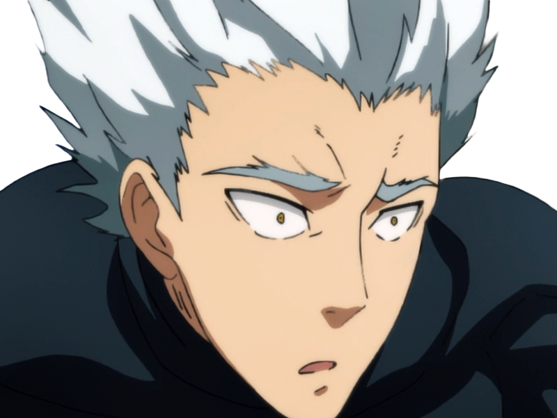 garoh garou garo monstre humain one punch man opm anime manga art martiaux cheveux-blancs yeux-jaunes
