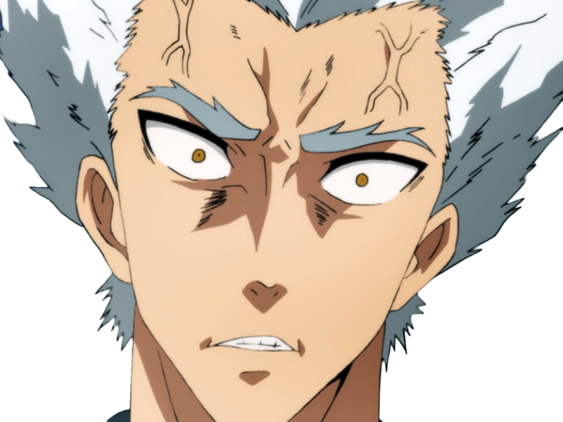 garoh garou garo monstre humain one punch man opm anime manga art martiaux cheveux-blancs yeux-jaunes