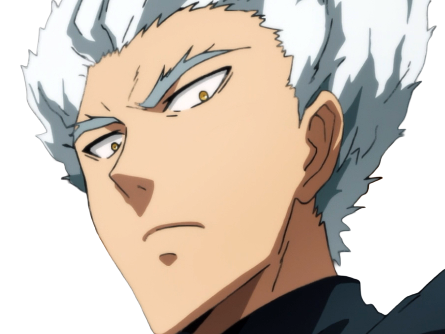 garoh garou garo monstre humain one punch man opm anime manga art martiaux cheveux-blancs yeux-jaunes