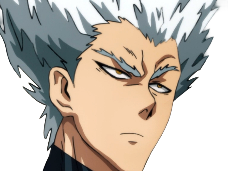garoh garou garo monstre humain one punch man opm anime manga art martiaux cheveux-blancs yeux-jaunes