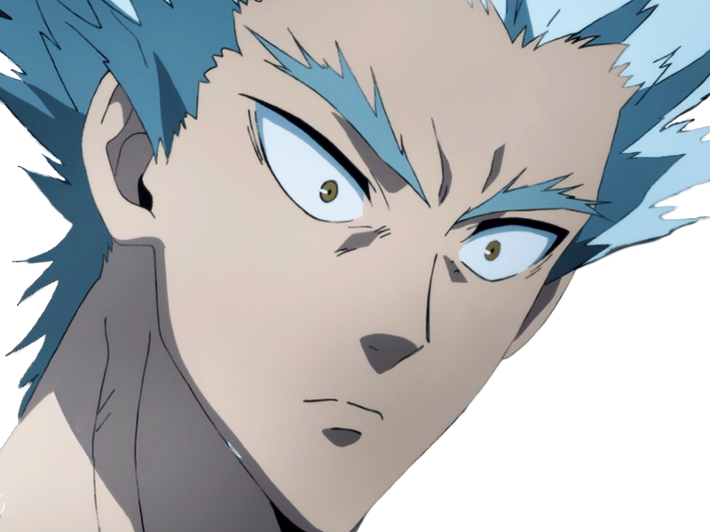 garoh garou garo monstre humain one punch man opm anime manga art martiaux cheveux-blancs yeux-jaunes
