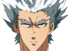 garoh-garou-garo-monstre-humain-one-punch-man-opm-anime-manga-art-martiaux-cheveux-blancs-yeux-jaunes