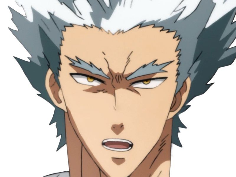 garoh garou garo monstre humain one punch man opm anime manga art martiaux cheveux-blancs yeux-jaunes