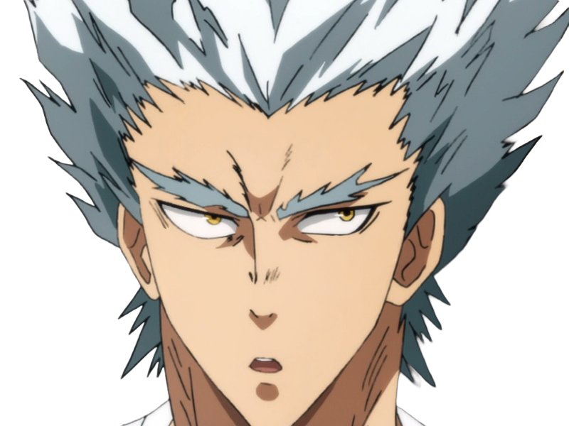 garoh garou garo monstre humain one punch man opm anime manga art martiaux cheveux-blancs yeux-jaunes
