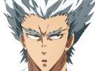 garoh-garou-garo-monstre-humain-one-punch-man-opm-anime-manga-art-martiaux-cheveux-blancs-yeux-jaunes