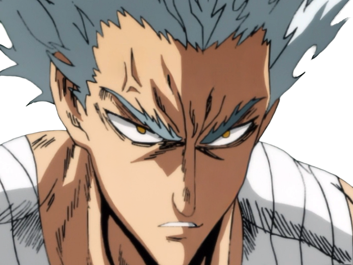garoh garou garo monstre humain one punch man opm anime manga art martiaux cheveux-blancs yeux-jaunes