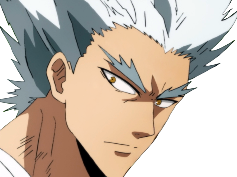 garoh garou garo monstre humain one punch man opm anime manga art martiaux cheveux-blancs yeux-jaunes