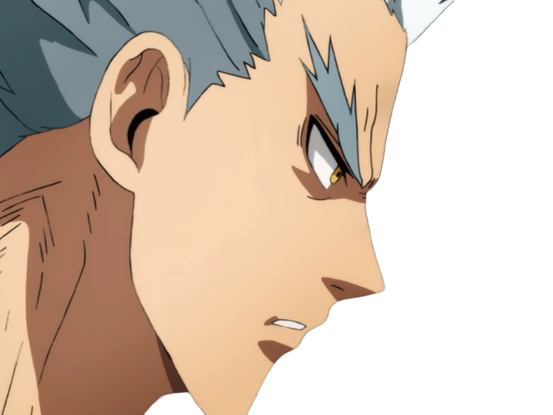 garoh garou garo monstre humain one punch man opm anime manga art martiaux cheveux-blancs yeux-jaunes