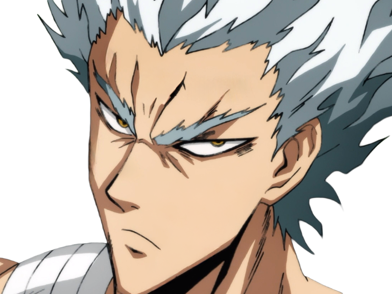 garoh garou garo monstre humain one punch man opm anime manga art martiaux cheveux-blancs yeux-jaunes