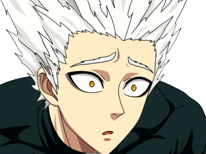 garoh garou garo monstre humain one punch man opm anime manga art martiaux cheveux-blancs yeux-jaunes