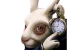 le-lapin-blanc-alice-pays-merveilles-tic-tac-hop-temps-chrono-chronometre-montre-horloge-heure