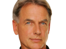 leroy-jethro-gibbs-gibs-ncis-agent-special-moupe-homme-acteur-americain-mark-harmon-cinquantenaire-cinquantaine