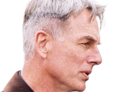 leroy jethro gibbs gibs ncis agent special moupe homme acteur americain mark harmon cinquantenaire cinquantaine