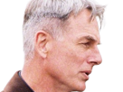 leroy-jethro-gibbs-gibs-ncis-agent-special-moupe-homme-acteur-americain-mark-harmon-cinquantenaire-cinquantaine