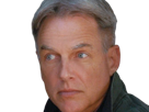 leroy-jethro-gibbs-gibs-ncis-agent-special-moupe-homme-acteur-americain-mark-harmon-cinquantenaire-cinquantaine