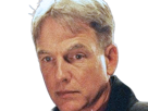 leroy-jethro-gibbs-gibs-ncis-agent-special-moupe-homme-acteur-americain-mark-harmon-cinquantenaire-cinquantaine