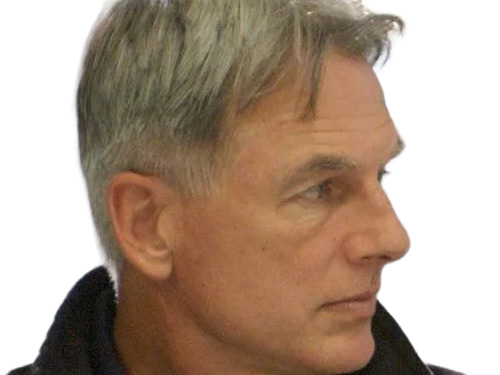 leroy jethro gibbs gibs ncis agent special moupe homme acteur americain mark harmon cinquantenaire cinquantaine