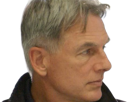 leroy-jethro-gibbs-gibs-ncis-agent-special-moupe-homme-acteur-americain-mark-harmon-cinquantenaire-cinquantaine