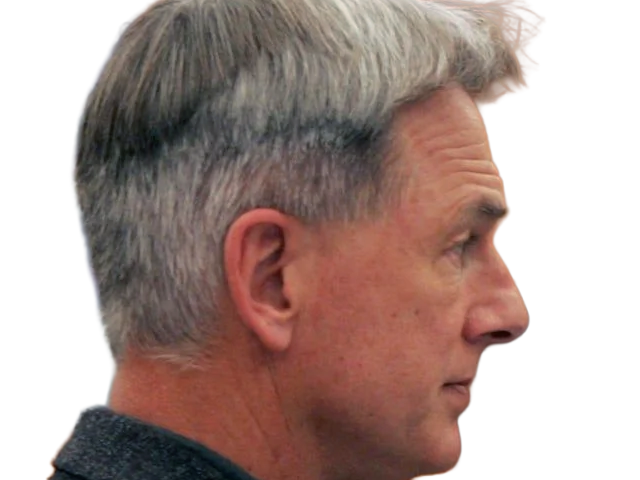 leroy jethro gibbs gibs ncis agent special moupe homme acteur americain mark harmon cinquantenaire cinquantaine