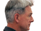 leroy-jethro-gibbs-gibs-ncis-agent-special-moupe-homme-acteur-americain-mark-harmon-cinquantenaire-cinquantaine