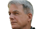 leroy-jethro-gibbs-gibs-ncis-agent-special-moupe-homme-acteur-americain-mark-harmon-cinquantenaire-cinquantaine