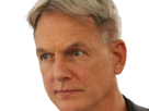 leroy-jethro-gibbs-gibs-ncis-agent-special-moupe-homme-acteur-americain-mark-harmon-cinquantenaire-cinquantaine