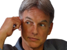 leroy-jethro-gibbs-gibs-ncis-agent-special-moupe-homme-acteur-americain-mark-harmon-cinquantenaire-cinquantaine