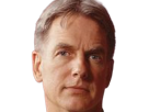 leroy-jethro-gibbs-gibs-ncis-agent-special-moupe-homme-acteur-americain-mark-harmon-cinquantenaire-cinquantaine