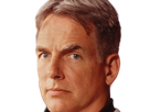 leroy-jethro-gibbs-gibs-ncis-agent-special-moupe-homme-acteur-americain-mark-harmon-cinquantenaire-cinquantaine