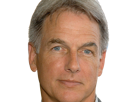 leroy-jethro-gibbs-gibs-ncis-agent-special-moupe-homme-acteur-americain-mark-harmon-cinquantenaire-cinquantaine
