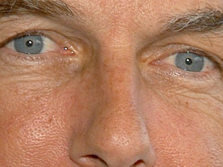 leroy jethro gibbs gibs ncis agent special moupe homme acteur americain mark harmon cinquantenaire cinquantaine