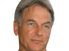 leroy-jethro-gibbs-gibs-ncis-agent-special-moupe-homme-acteur-americain-mark-harmon-cinquantenaire-cinquantaine