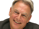 leroy-jethro-gibbs-gibs-ncis-agent-special-moupe-homme-acteur-americain-mark-harmon-cinquantenaire-cinquantaine