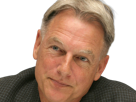 leroy-jethro-gibbs-gibs-ncis-agent-special-moupe-homme-acteur-americain-mark-harmon-cinquantenaire-cinquantaine
