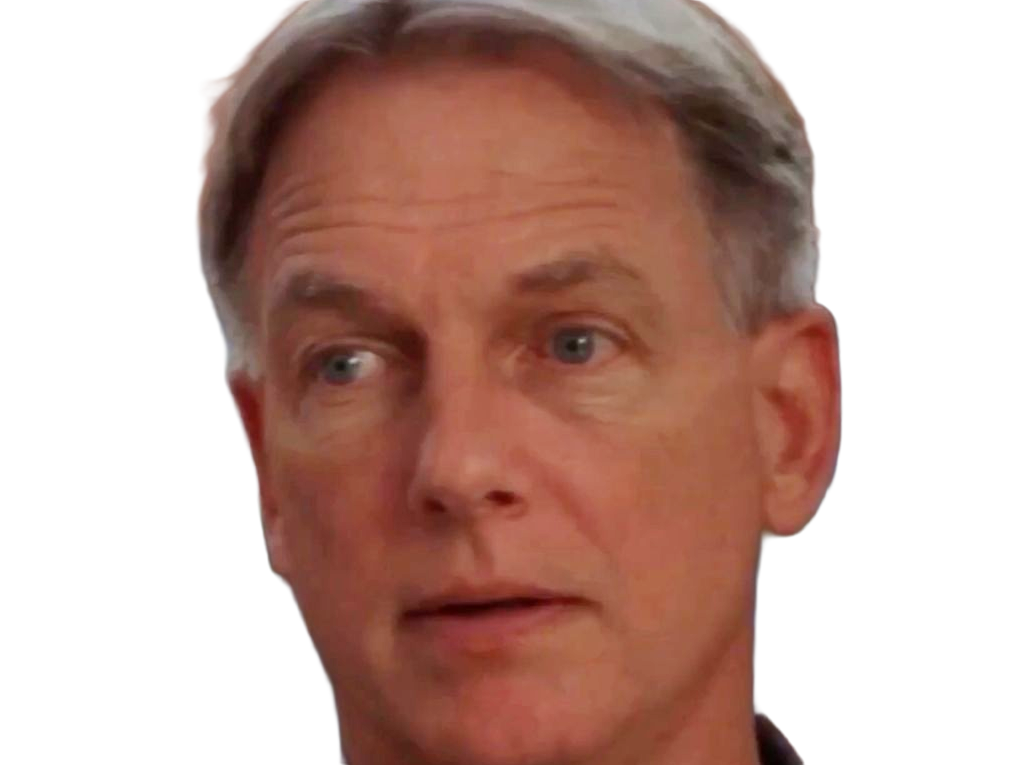 leroy jethro gibbs gibs ncis agent special moupe homme acteur americain mark harmon cinquantenaire cinquantaine