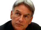 leroy-jethro-gibbs-gibs-ncis-agent-special-moupe-homme-acteur-americain-mark-harmon-cinquantenaire-cinquantaine