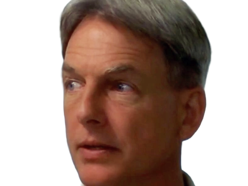 leroy jethro gibbs gibs ncis agent special moupe homme acteur americain mark harmon cinquantenaire cinquantaine