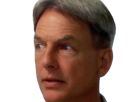 leroy-jethro-gibbs-gibs-ncis-agent-special-moupe-homme-acteur-americain-mark-harmon-cinquantenaire-cinquantaine