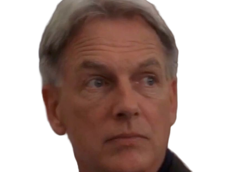 leroy jethro gibbs gibs ncis agent special moupe homme acteur americain mark harmon cinquantenaire cinquantaine