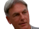 leroy-jethro-gibbs-gibs-ncis-agent-special-moupe-homme-acteur-americain-mark-harmon-cinquantenaire-cinquantaine